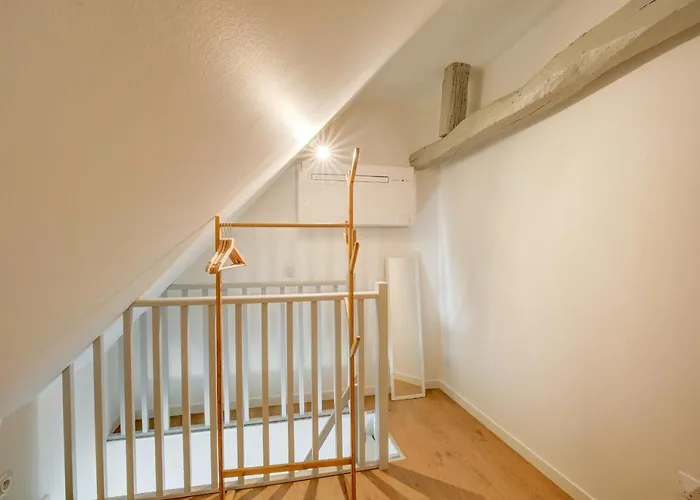 Le Chaumont The Temple Of Modernism 公寓 图尔